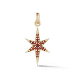 14K Gold & Garnet Stella Charm - storrow