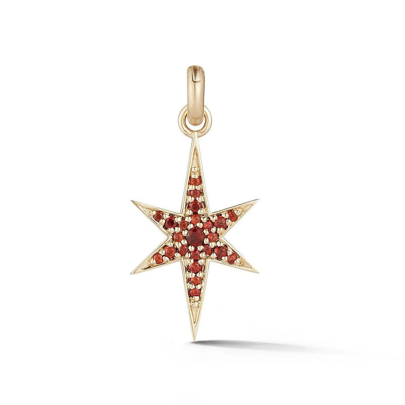 14K Gold & Garnet Stella Charm - storrow